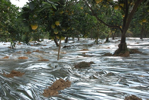 Agricultural film
